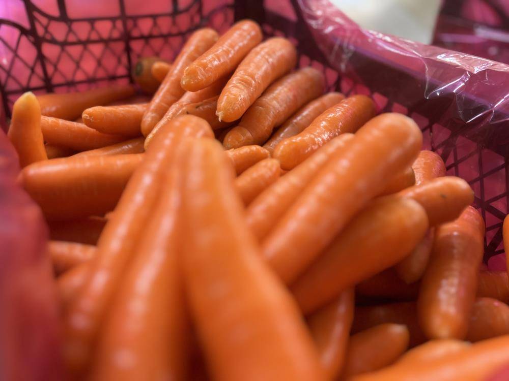 Konya’nın Türkiye’de iddialı olduğu üründe hasat zamanı 11